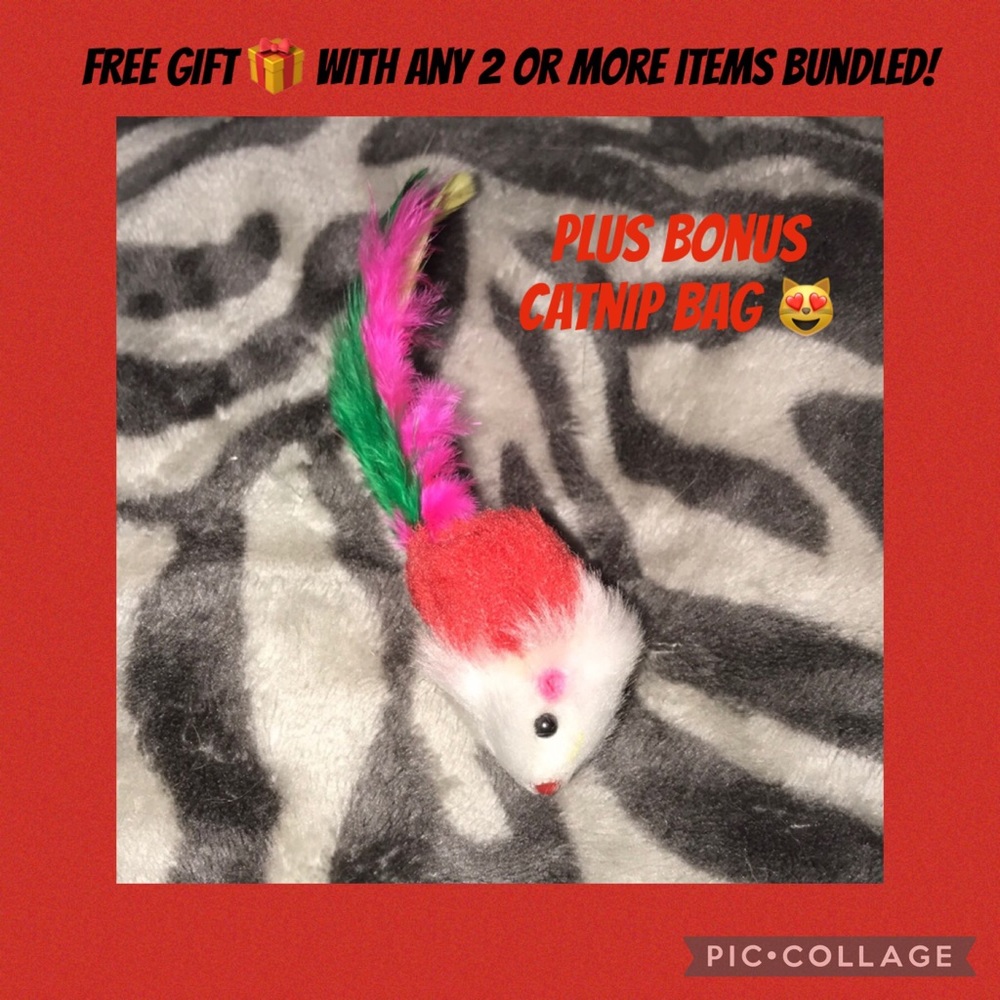 Red feather tailed rattle mouse 🐁 with catnip